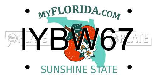IYBW67 Florida License Plate