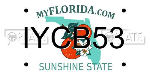 IYCB53 Florida License Plate