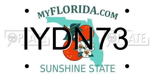 IYDN73 Florida License Plate