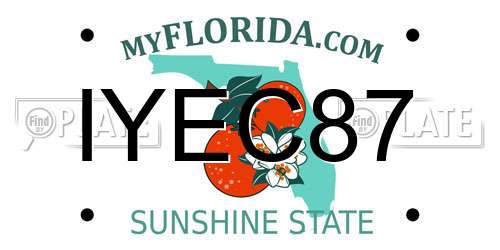 IYEC87 Florida License Plate