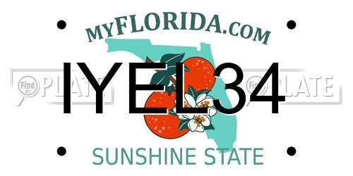 IYEL34 Florida License Plate