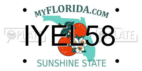 IYEL58 Florida License Plate