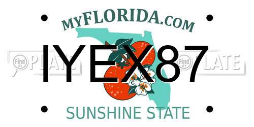 IYEX87 Florida License Plate