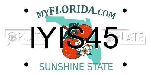 IYIS45 Florida License Plate