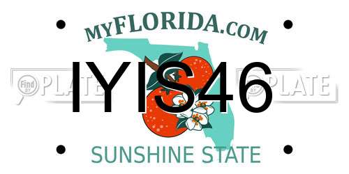 IYIS46 Florida License Plate