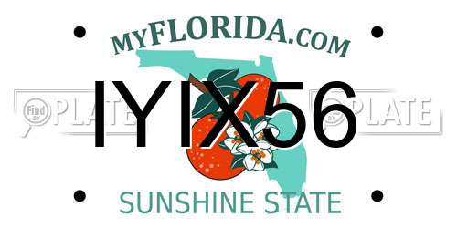 IYIX56 Florida License Plate