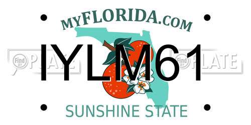 IYLM61 Florida License Plate