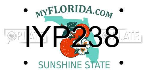 IYP238 Florida License Plate