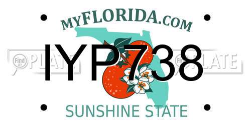 IYP738 Florida License Plate