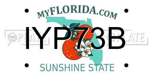 IYP73B Florida License Plate