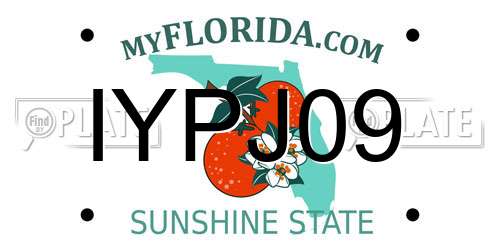 IYPJ09 Florida License Plate