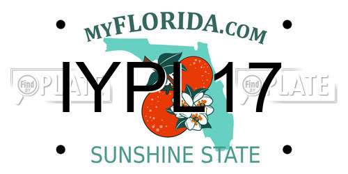 IYPL17 Florida License Plate