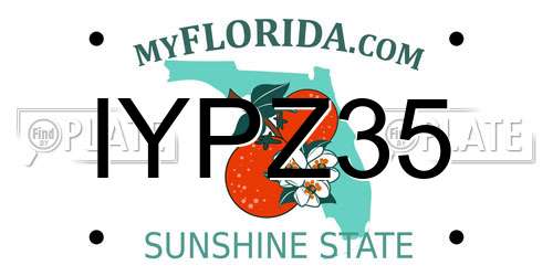 IYPZ35 Florida License Plate
