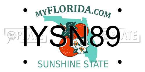 IYSN89 Florida License Plate