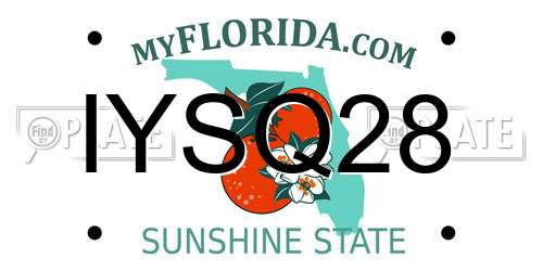 IYSQ28 Florida License Plate