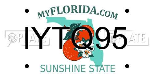 IYTQ95 Florida License Plate