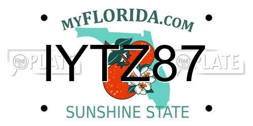 IYTZ87 Florida License Plate