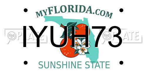 IYUH73 Florida License Plate