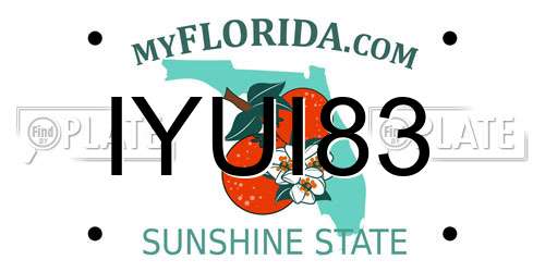 IYUI83 Florida License Plate