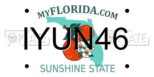 IYUN46 Florida License Plate