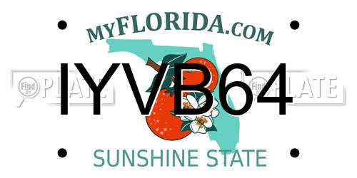 IYVB64 Florida License Plate