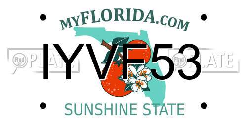 IYVF53 Florida License Plate