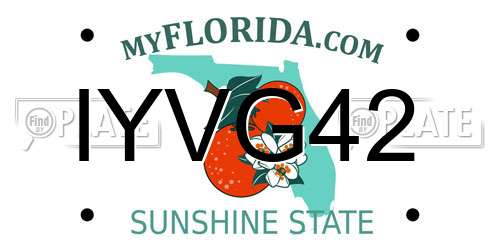 IYVG42 Florida License Plate