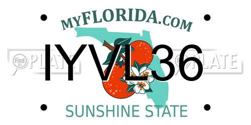 IYVL36 Florida License Plate