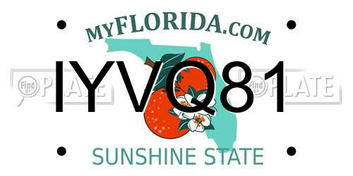 IYVQ81 Florida License Plate