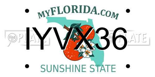 IYVX36 Florida License Plate