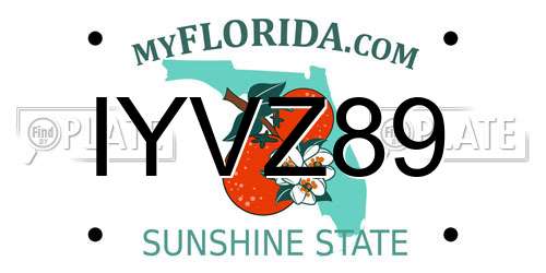 IYVZ89 Florida License Plate