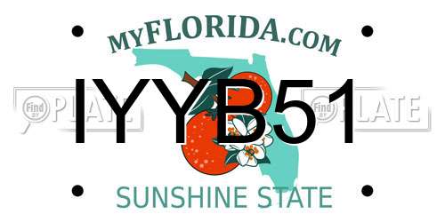 IYYB51 Florida License Plate