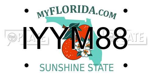 IYYM88 Florida License Plate