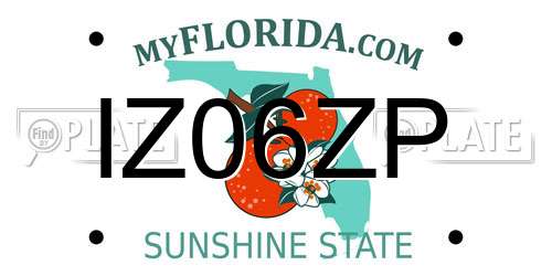 IZ06ZP Florida License Plate