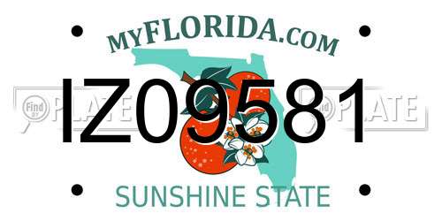 IZ09581 Florida License Plate