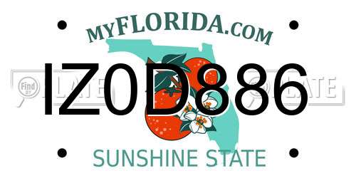 IZ0D886 Florida License Plate