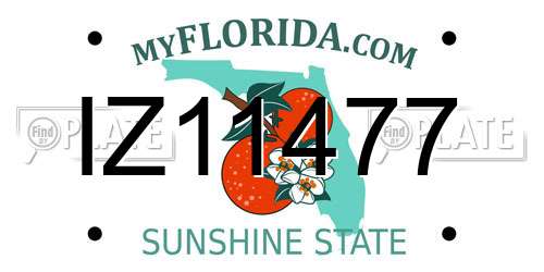 IZ11477 Florida License Plate