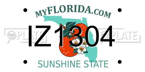 IZ1304 Florida License Plate