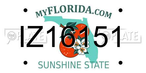 IZ16151 Florida License Plate
