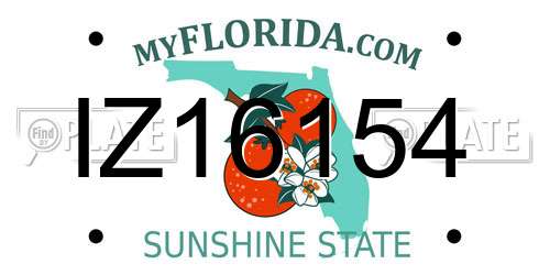 IZ16154 Florida License Plate