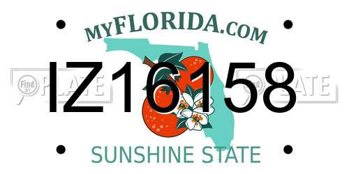 IZ16158 Florida License Plate