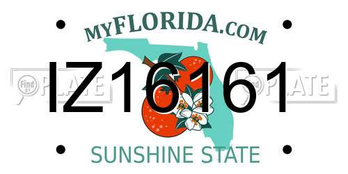 IZ16161 Florida License Plate