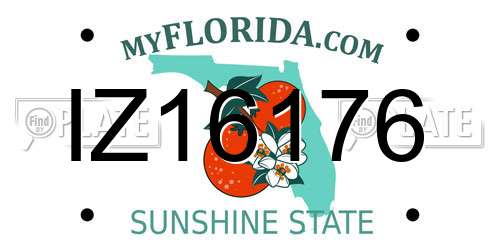 IZ16176 Florida License Plate