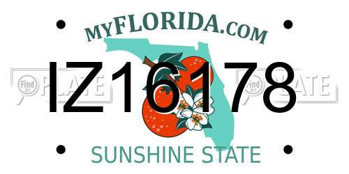 IZ16178 Florida License Plate