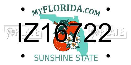 IZ16722 Florida License Plate