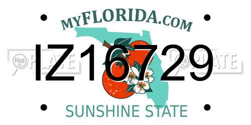 IZ16729 Florida License Plate