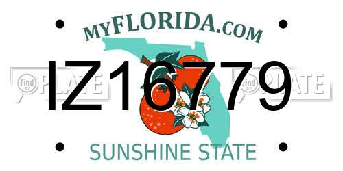 IZ16779 Florida License Plate
