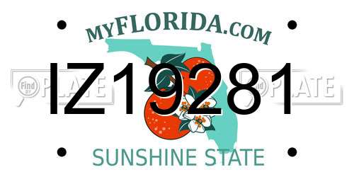 IZ19281 Florida License Plate