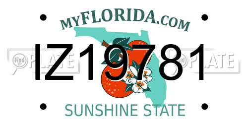 IZ19781 Florida License Plate