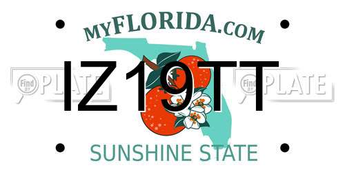 IZ19TT Florida License Plate